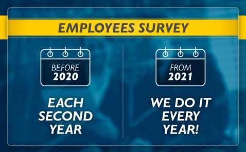 Employees survey